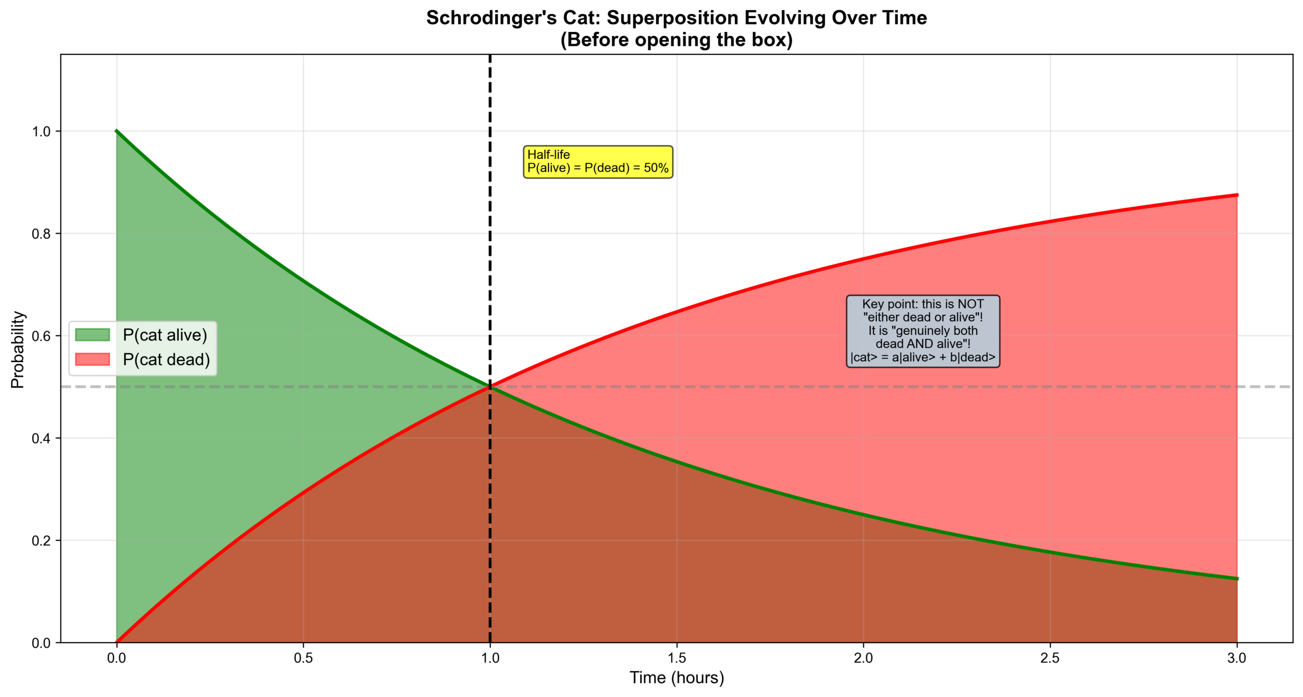 圖：Schrodinger Cat Basic